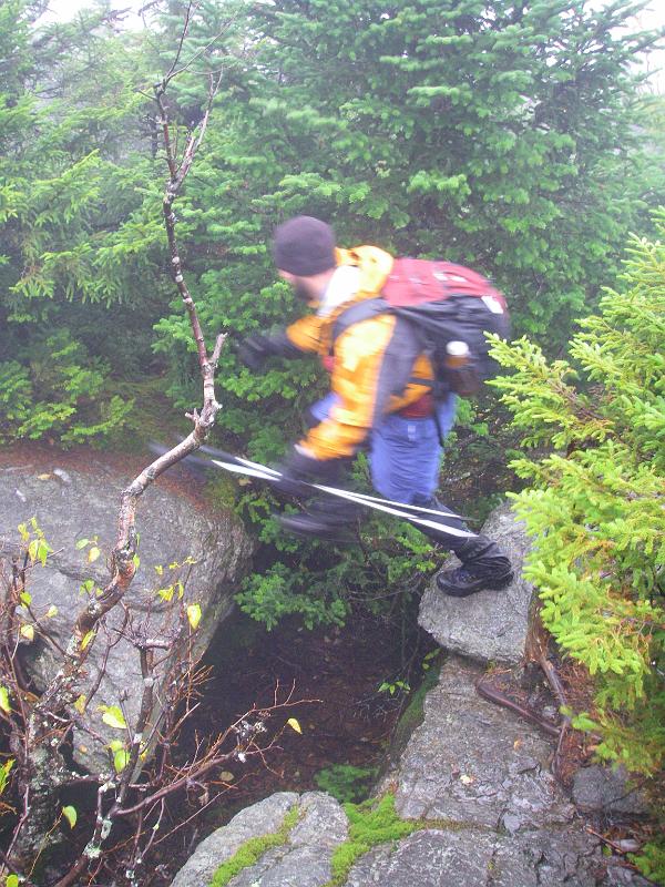 IMGP5124 Mansfield 02gap in trail.JPG - Tommy making the leap  - Photo by Rickey Shortt
